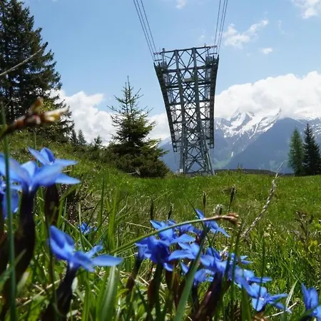 Zillertal-Urlaubat0016 * マイヤーホーフェン