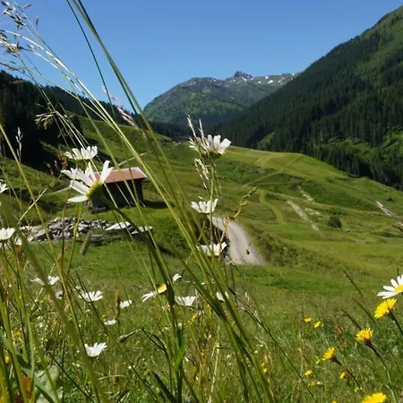 Zillertal-Urlaubat0016 * Mayrhofen