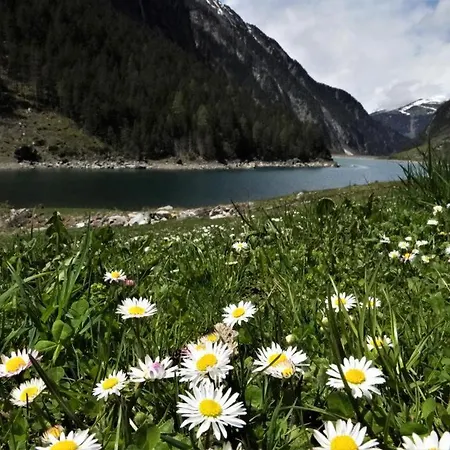 Zillertal-Urlaubat0016 * Mayrhofen