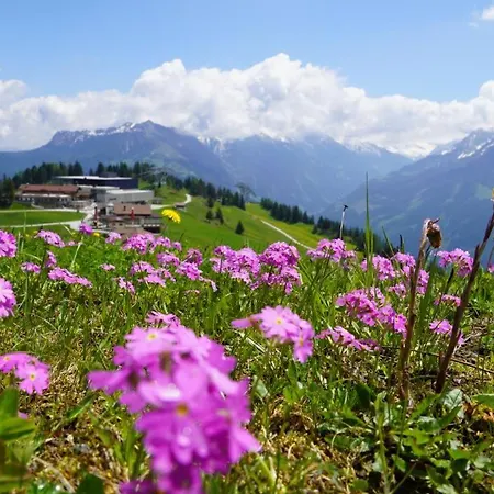 Zillertal-Urlaubat0016 アパート *