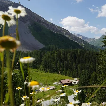 Zillertal-Urlaubat0016 アパート マイヤーホーフェン